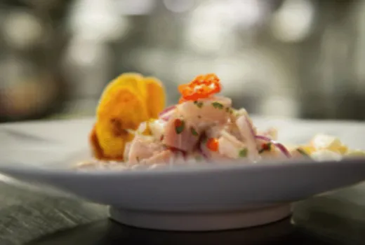 Descripción de la imagen